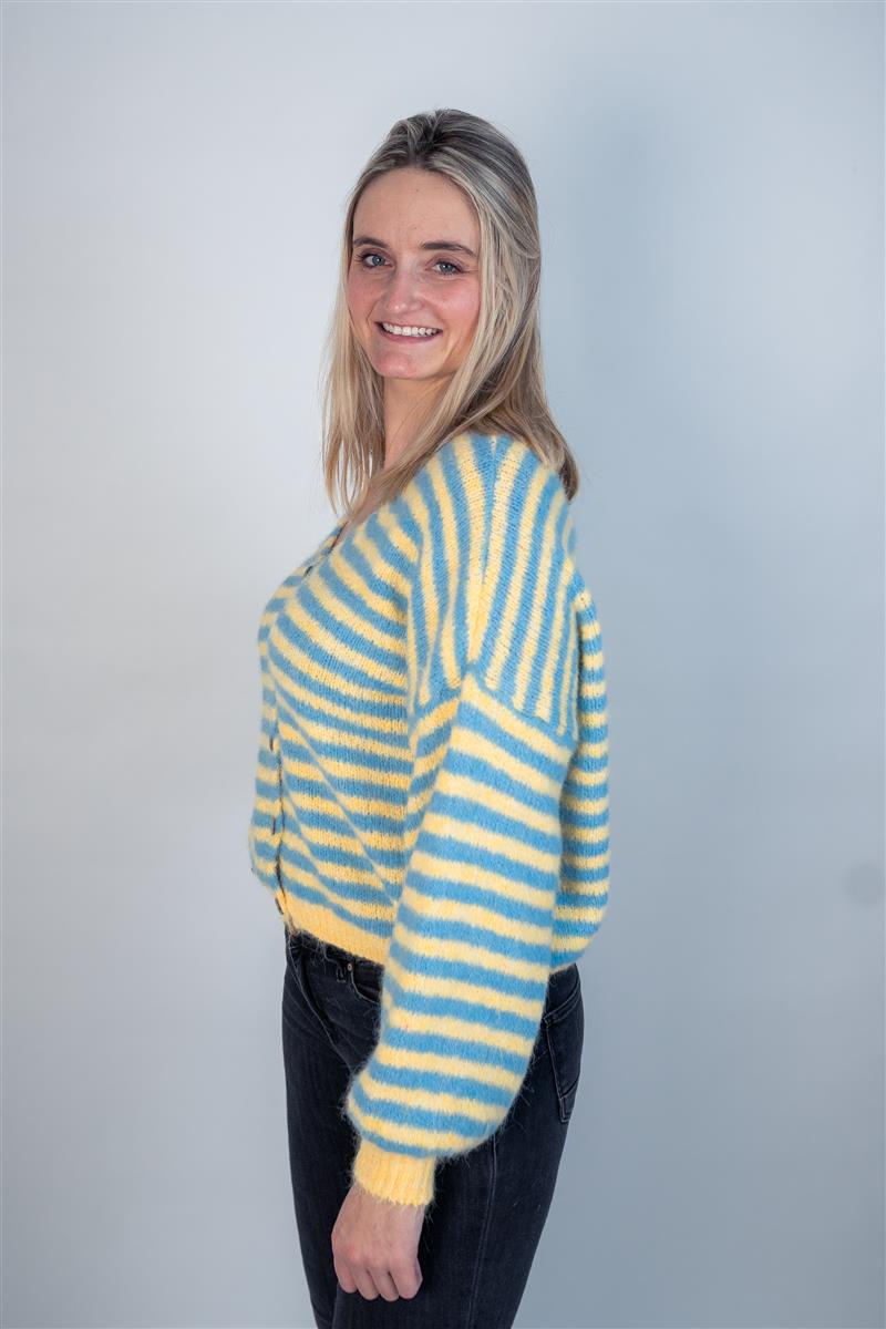 Jacke V-Ausschnitt gestreift