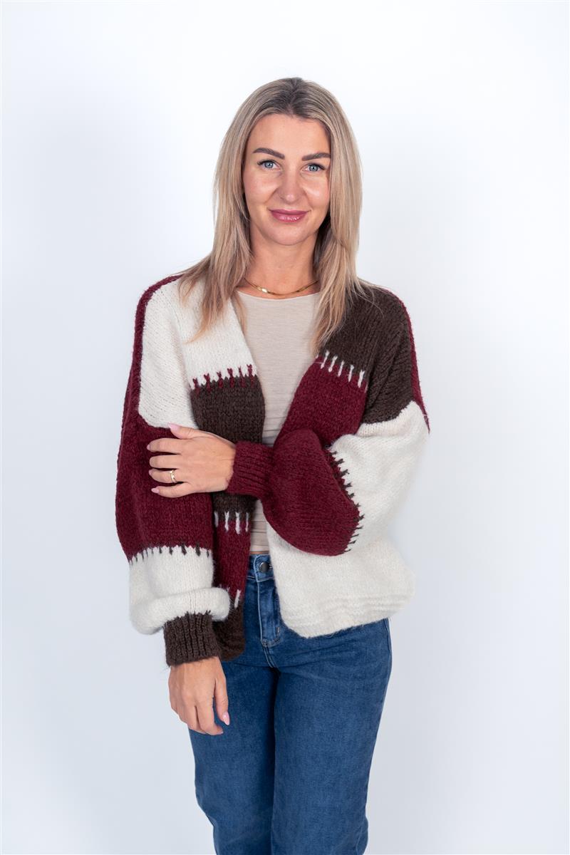 Cardigan mit Colour-Block-Muster