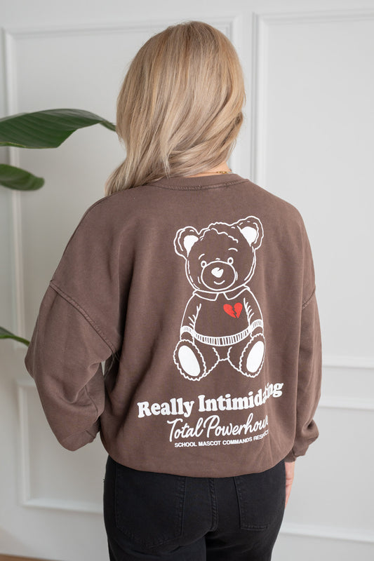 Sweater Teddy in Mocca