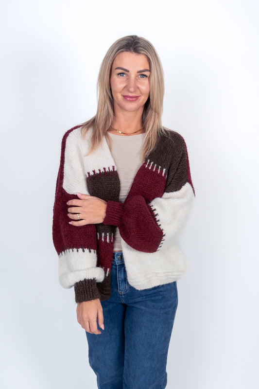 Cardigan mit Colour-Block-Muster